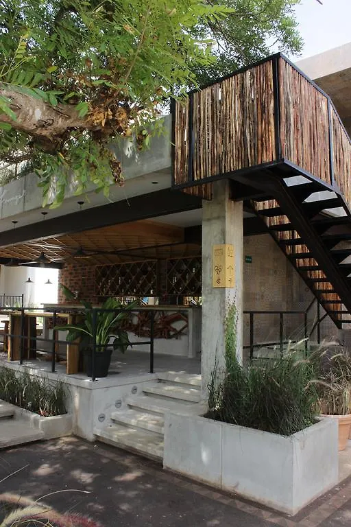 Quinta San Vicente Hotel & Hostal Cancun